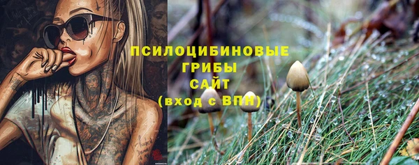 ГАЛЛЮЦИНОГЕННЫЕ ГРИБЫ Беломорск