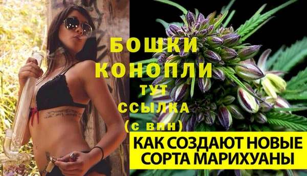 молекула духа Россошь