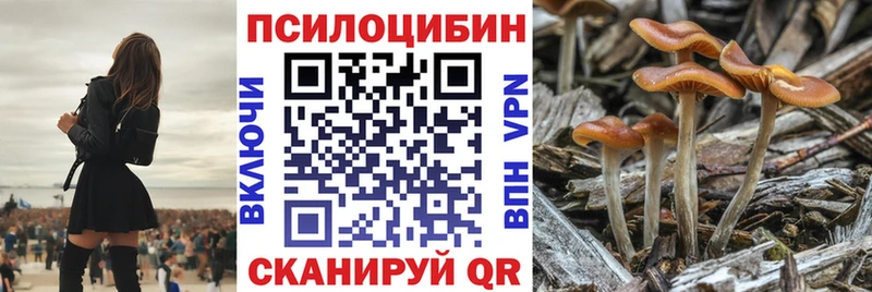 Псилоцибиновые грибы Psilocybine cubensis  где можно купить наркотик  Кстово 